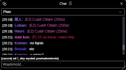 Screenshot - Interfejs Chatu